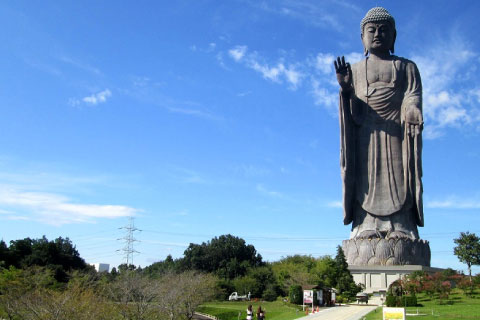 茨城県許可書